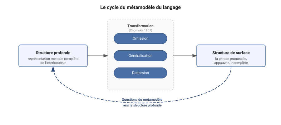 Schéma du cycle du métamodèle, de la structure profonde à la structure de surface puis retour par le questionnement